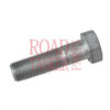 Bolt, M16 x 60mm / SW 24